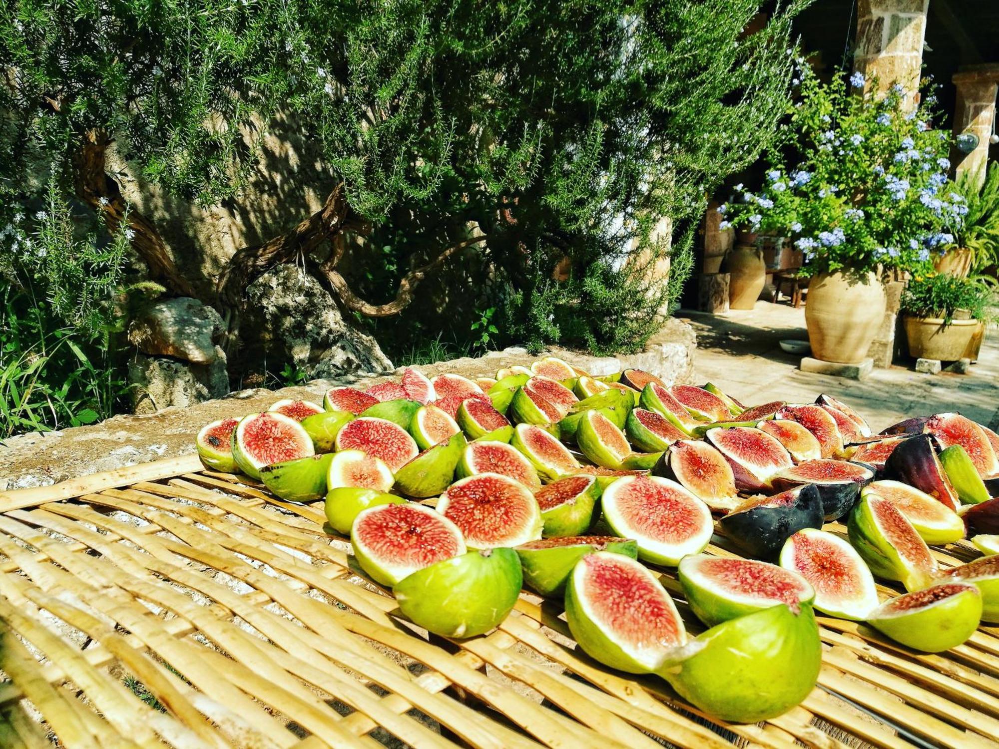Masseria Borgo Del Gallo Tricase Εξωτερικό φωτογραφία