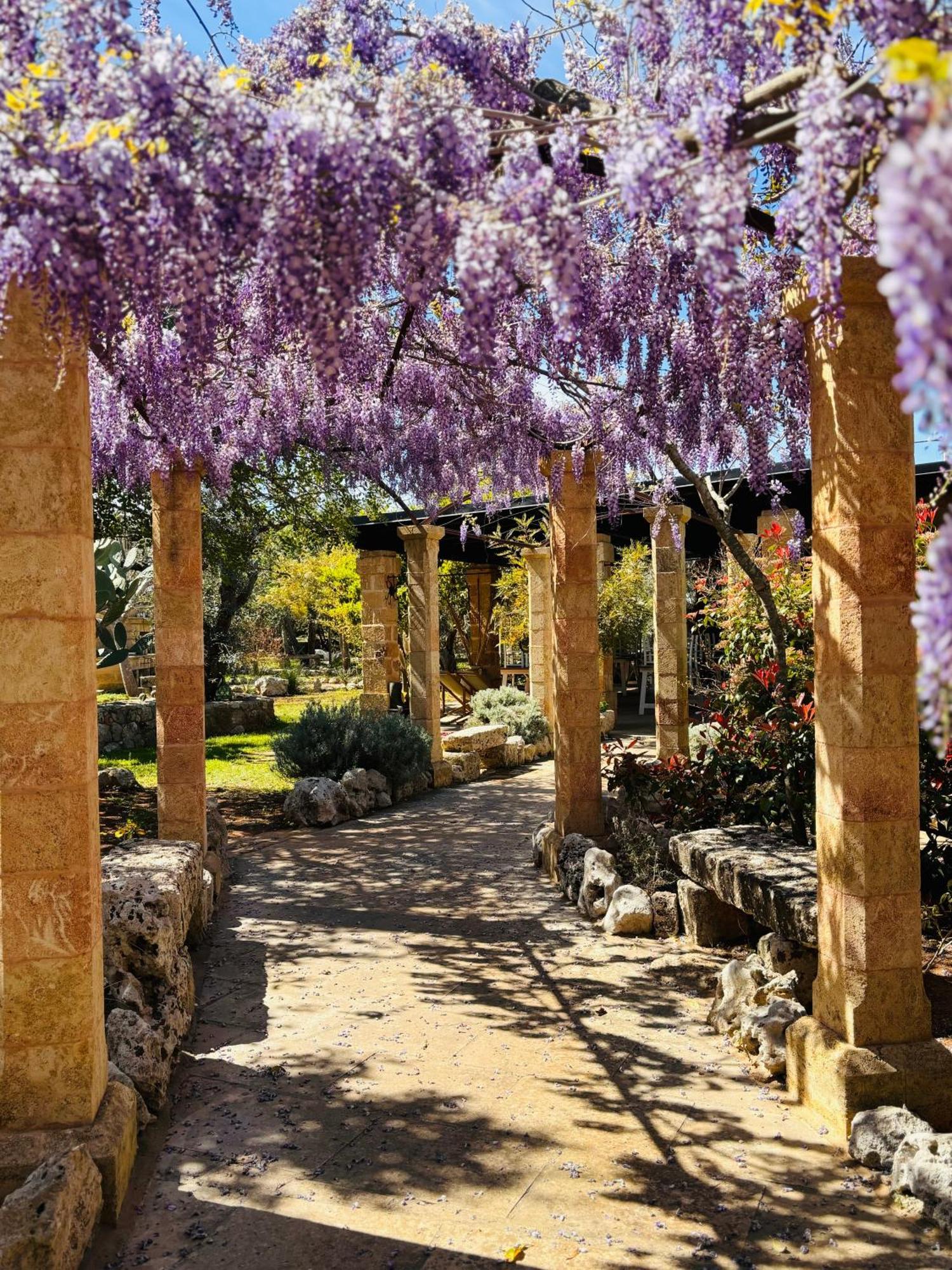 Masseria Borgo Del Gallo Tricase Εξωτερικό φωτογραφία