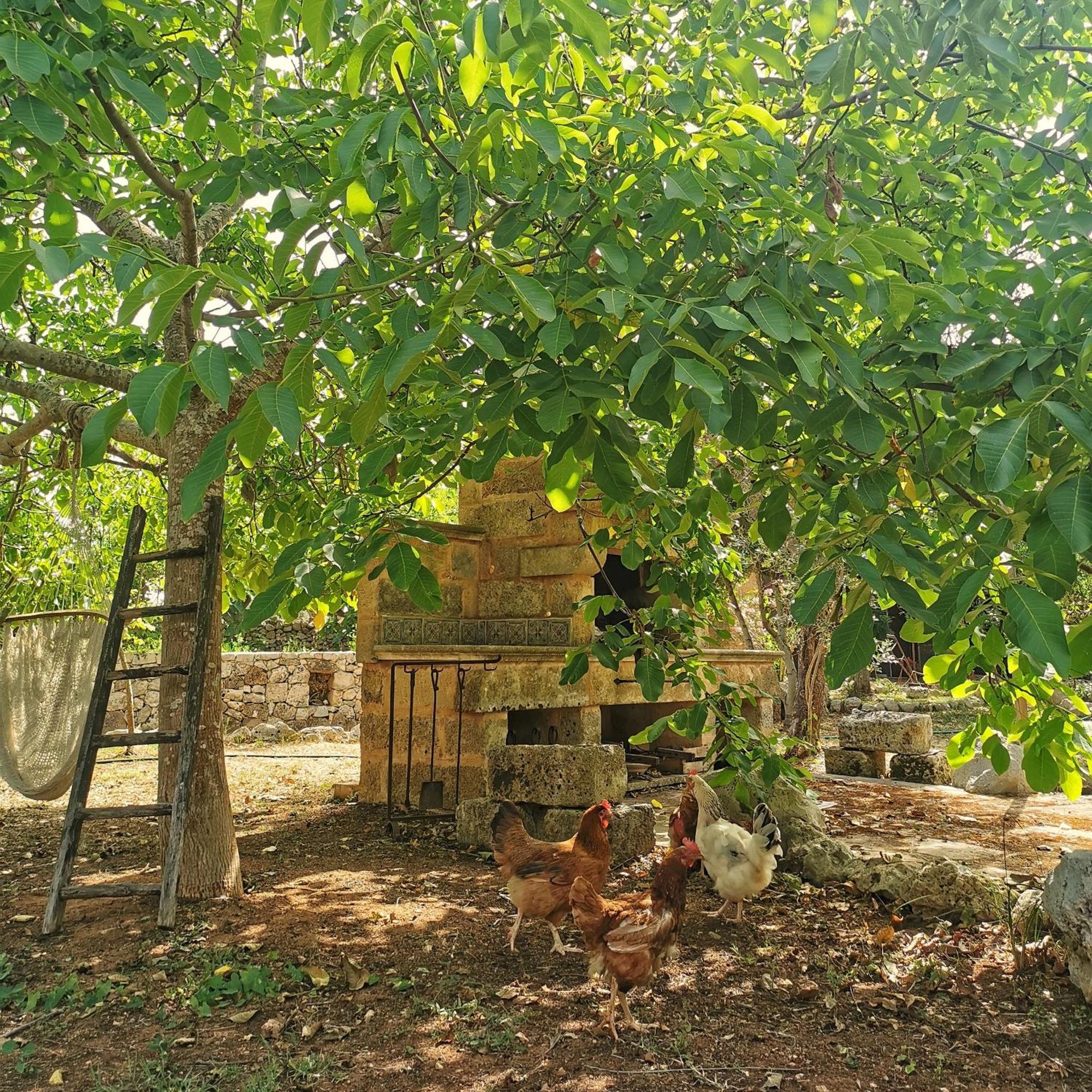 Masseria Borgo Del Gallo Tricase Εξωτερικό φωτογραφία