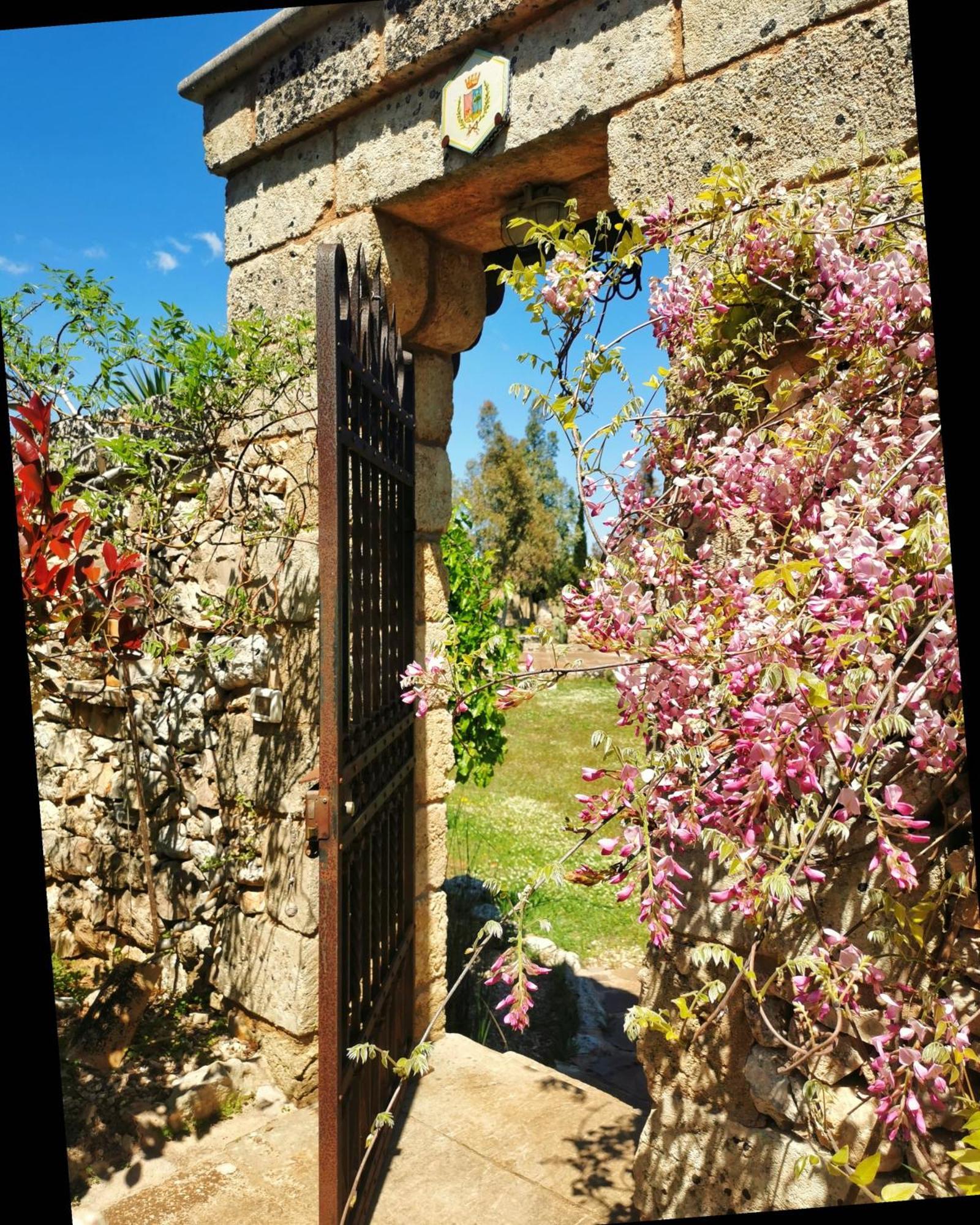 Masseria Borgo Del Gallo Tricase Εξωτερικό φωτογραφία